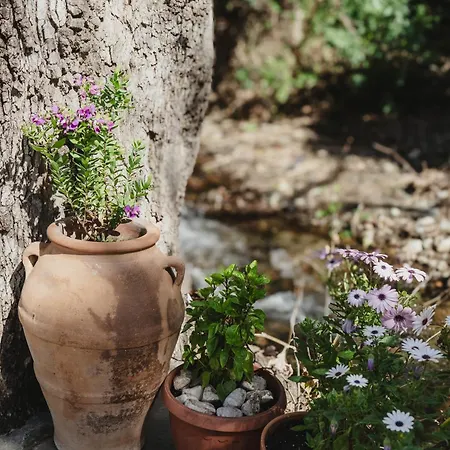 Mylos Nature Retreat *