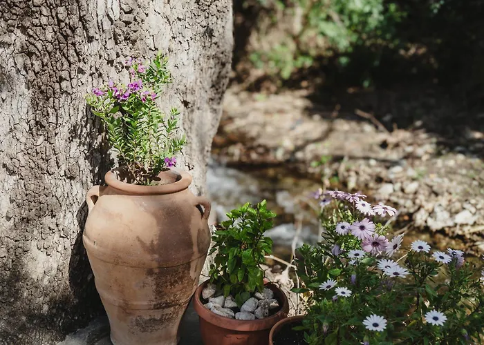 Mylos Nature Retreat *